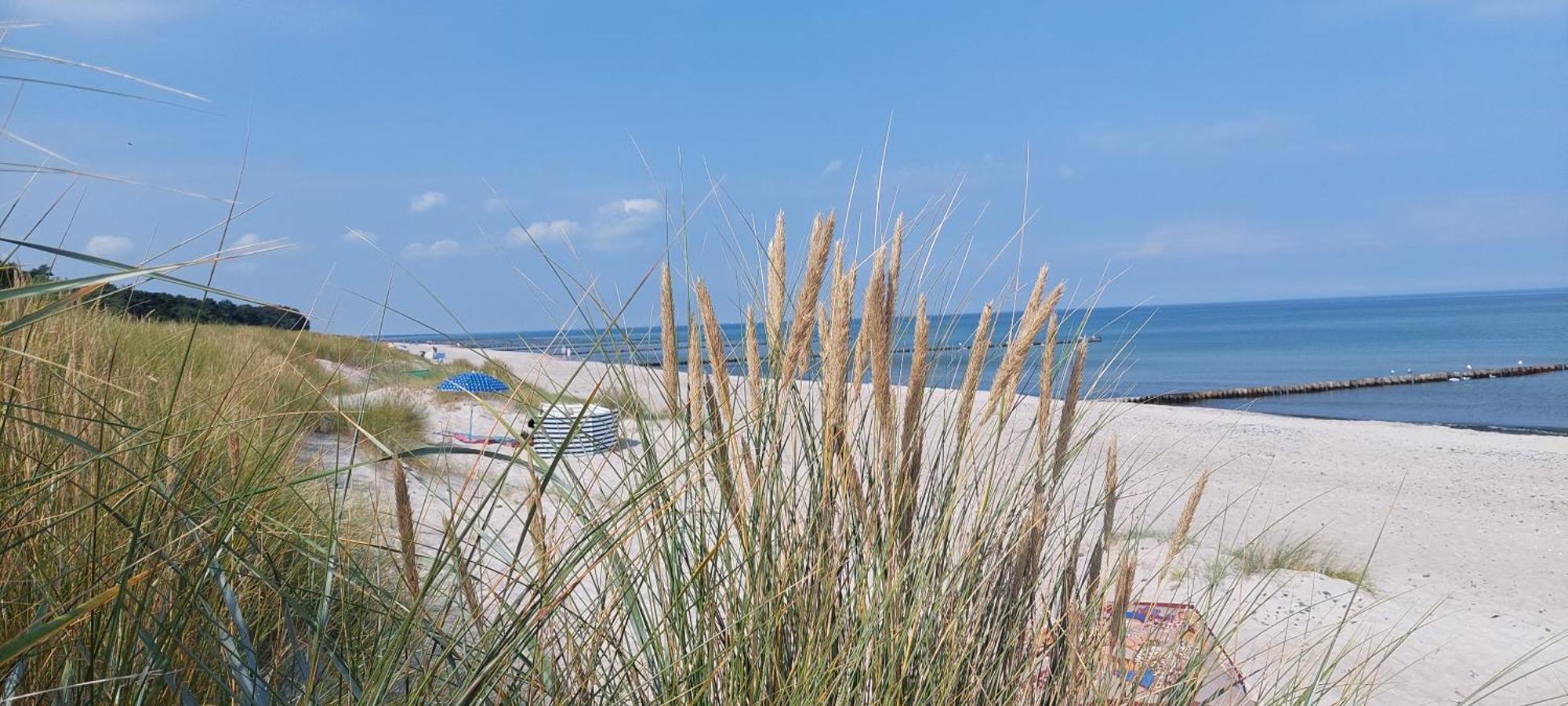 Residenz Am Strand Wohnung 1-21 Zingst Exterior foto